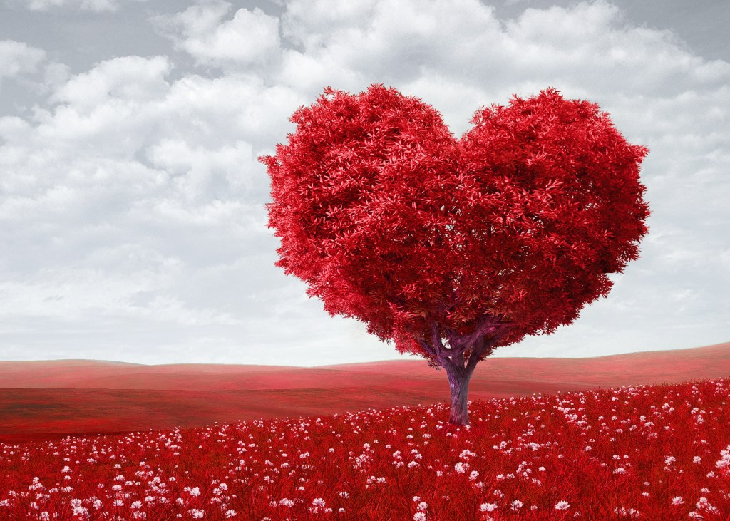 Self Love 1 week&nbsp;challenge