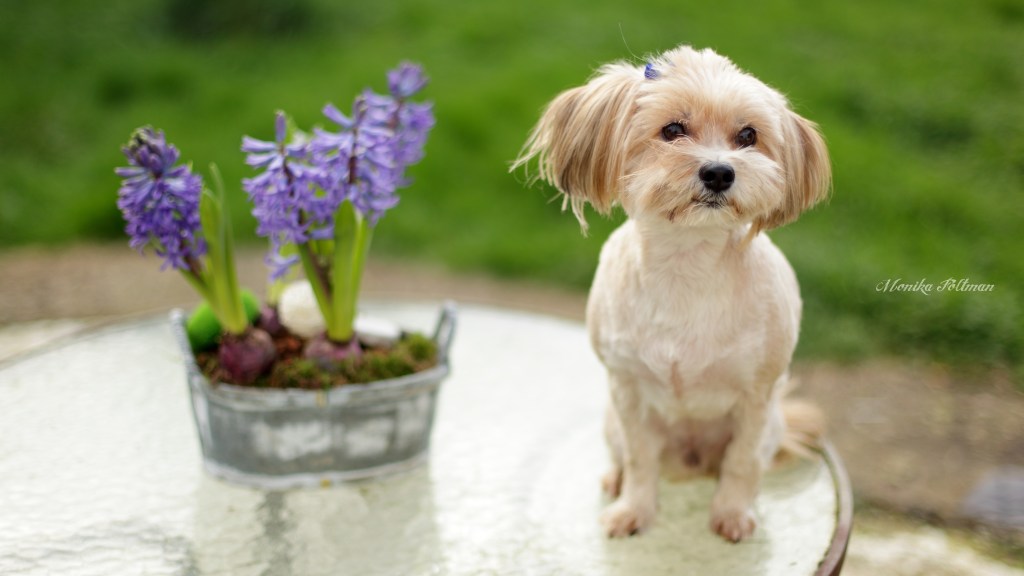 I Dusted off my camera&nbsp;today..